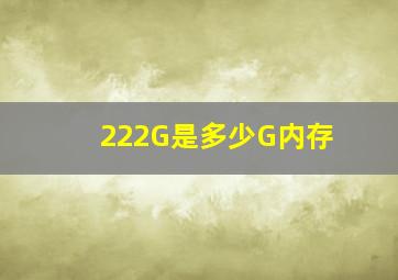 222G是多少G内存