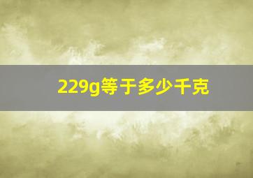 229g等于多少千克