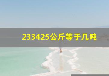 233425公斤等于几吨