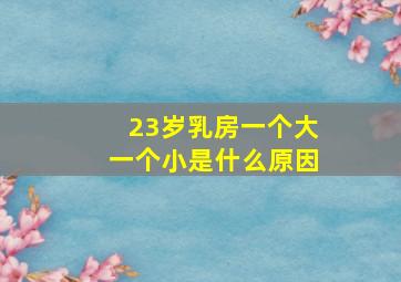 23岁乳房一个大一个小是什么原因