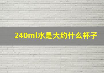 240ml水是大约什么杯子