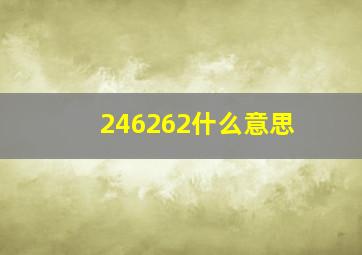 246262什么意思