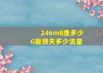 246mB是多少G能损失多少流量