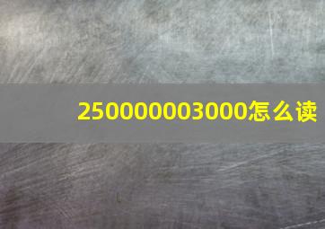 250000003000怎么读