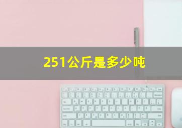 251公斤是多少吨