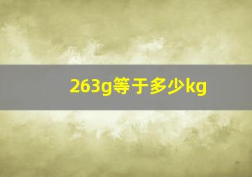 263g等于多少kg