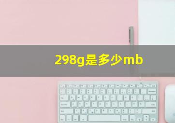 298g是多少mb