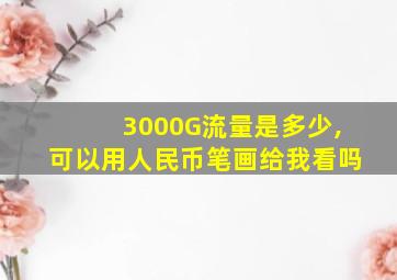 3000G流量是多少,可以用人民币笔画给我看吗