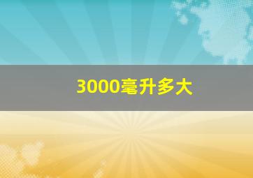 3000毫升多大