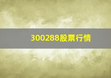 300288股票行情