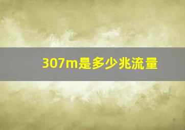 307m是多少兆流量