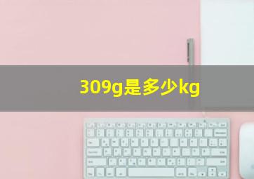 309g是多少kg