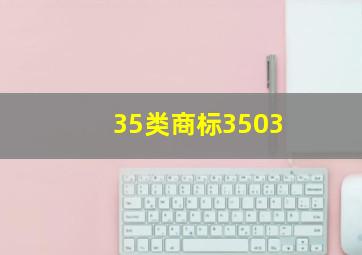 35类商标3503