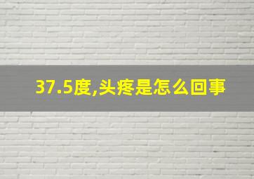 37.5度,头疼是怎么回事