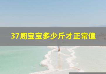 37周宝宝多少斤才正常值