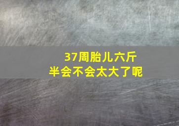 37周胎儿六斤半会不会太大了呢