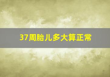 37周胎儿多大算正常