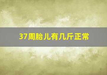 37周胎儿有几斤正常