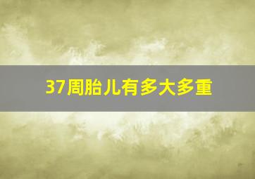 37周胎儿有多大多重