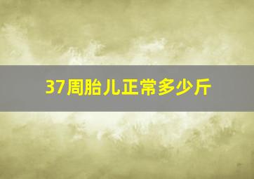 37周胎儿正常多少斤