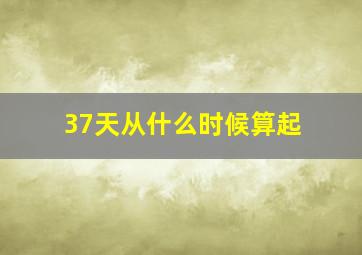 37天从什么时候算起