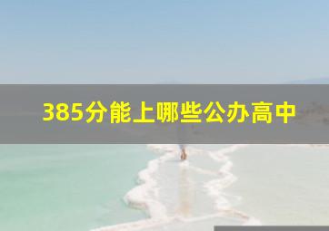 385分能上哪些公办高中