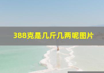 388克是几斤几两呢图片