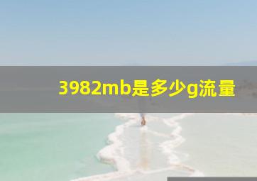 3982mb是多少g流量