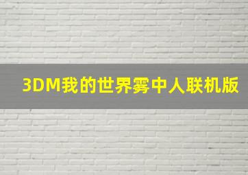 3DM我的世界雾中人联机版