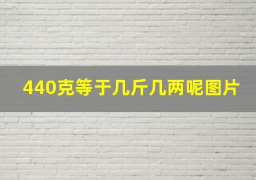 440克等于几斤几两呢图片