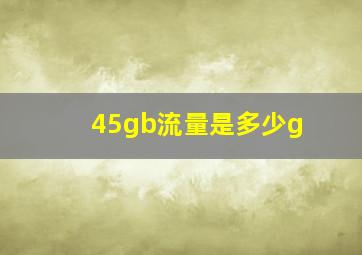 45gb流量是多少g