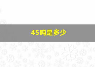 45吨是多少