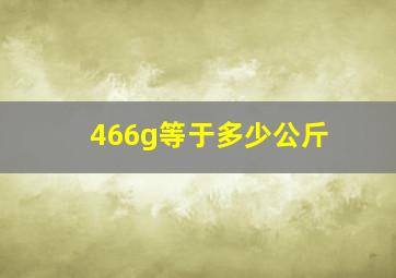 466g等于多少公斤