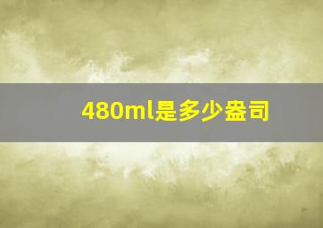 480ml是多少盎司