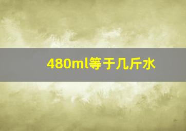 480ml等于几斤水