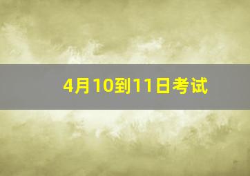 4月10到11日考试