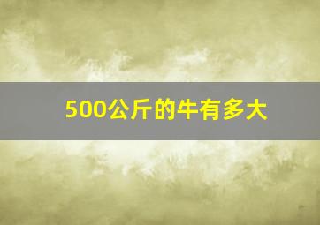 500公斤的牛有多大