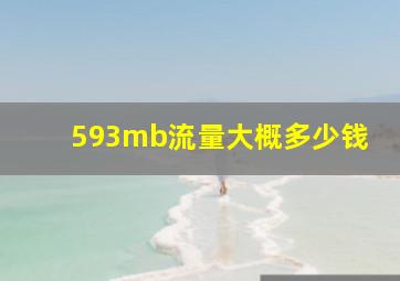 593mb流量大概多少钱