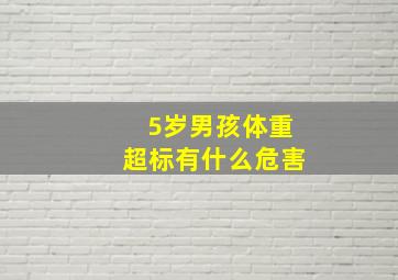 5岁男孩体重超标有什么危害