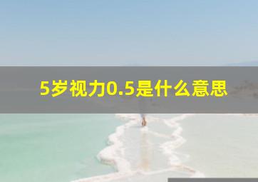 5岁视力0.5是什么意思