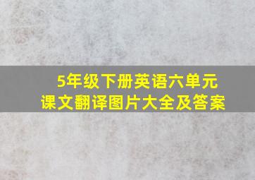 5年级下册英语六单元课文翻译图片大全及答案