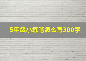 5年级小练笔怎么写300字