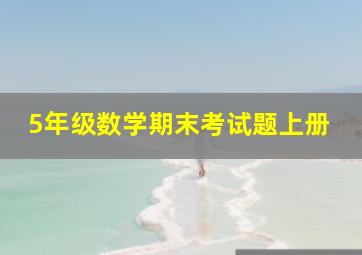 5年级数学期末考试题上册