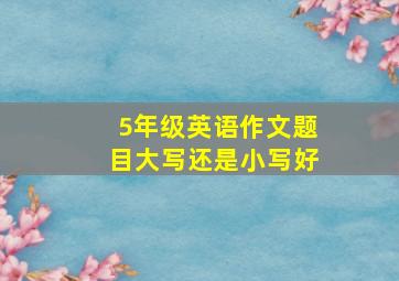 5年级英语作文题目大写还是小写好