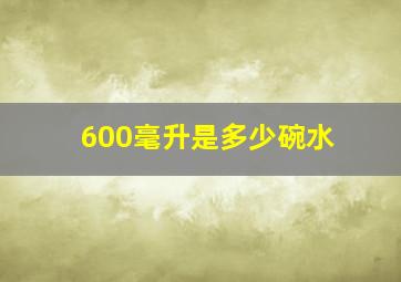 600毫升是多少碗水