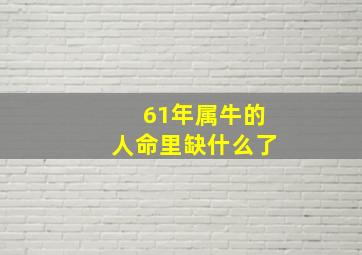 61年属牛的人命里缺什么了