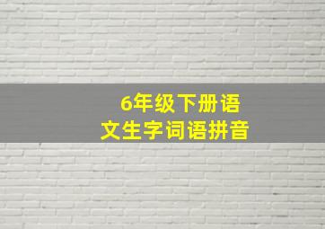 6年级下册语文生字词语拼音