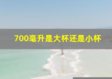 700毫升是大杯还是小杯