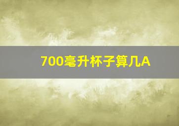 700毫升杯子算几A