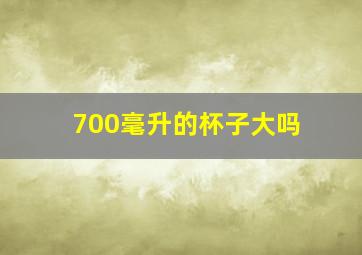 700毫升的杯子大吗